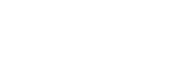 Alt-Sachs Repair